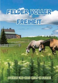 bokomslag Felder voller Freiheit: Pferde und ihre Welt in Farbe