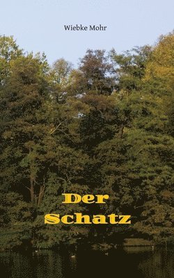 bokomslag Der Schatz: Auf Insektenart im Zick-Zack-Flug durch Zeit und Raum