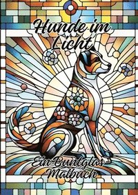bokomslag Hunde im Licht