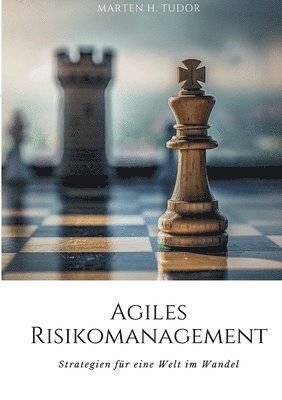 bokomslag Agiles Risikomanagement
