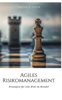 bokomslag Agiles Risikomanagement