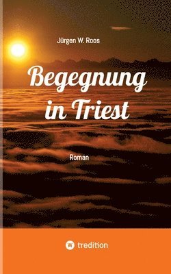 bokomslag Begegnung in Triest - Ein spannender Politthriller: Roman