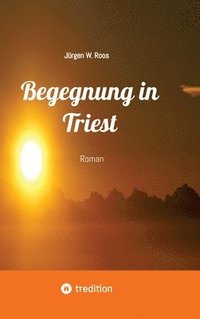 bokomslag Begegnung in Triest - Ein spannender Politthriller: Roman