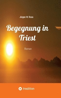 bokomslag Begegnung in Triest - Ein spannender Politthriller