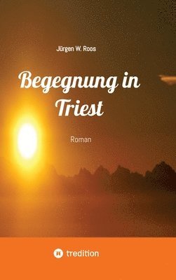 bokomslag Begegnung in Triest - Ein spannender Politthriller: Roman