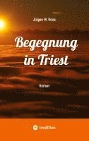 bokomslag Begegnung in Triest - Ein spannender Politthriller