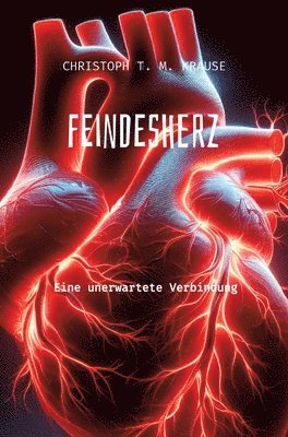 bokomslag Feindesherz
