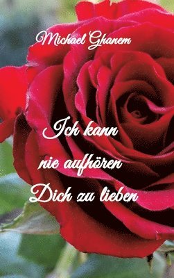 bokomslag Ich kann nie aufhören Dich zu lieben