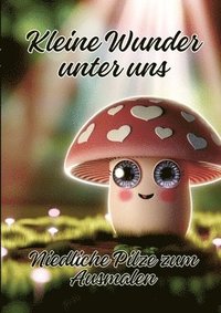 bokomslag Kleine Wunder unter uns
