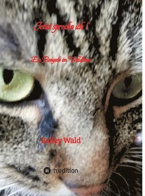 Bailey Wald - Jetzt spreche ich ! FIV Kater Bailey berichtet aus seinen Leben: Ein Bengale im Waldhaus, Inbunden