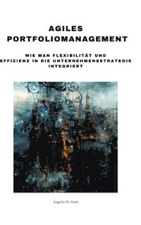 bokomslag Agiles  Portfoliomanagement