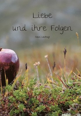 bokomslag Liebe und ihre Folgen