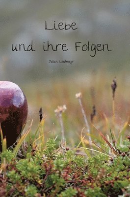 bokomslag Liebe und ihre Folgen