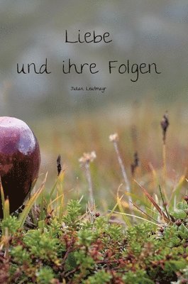 bokomslag Liebe und ihre Folgen: Gedichtband 1