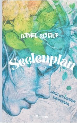 Daniel Schaup - Seelenplan: Sonja Wellensteins Entscheidung, Häftad
