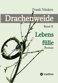 bokomslag Drachenweide 2