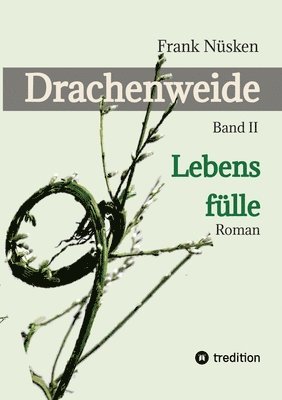 bokomslag Drachenweide 2