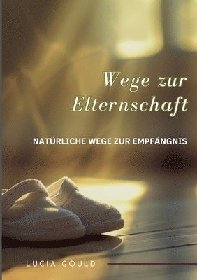 bokomslag Wege zur Elternschaft