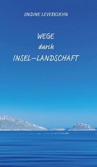 bokomslag Wege durch Insel-Landschaft