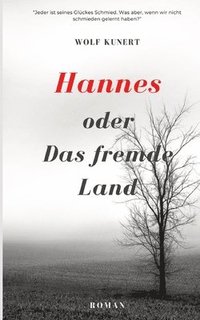 bokomslag Hannes oder Das fremde Land