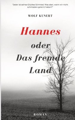 bokomslag Hannes oder Das fremde Land