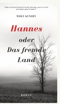 bokomslag Hannes oder Das fremde Land