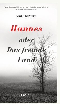 Hannes oder Das fremde Land