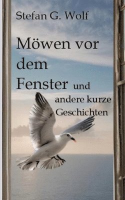 Möwen vor dem Fenster 1