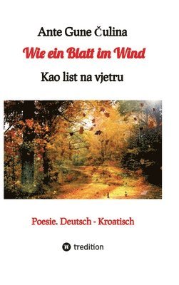 bokomslag Wie ein Blatt im Wind