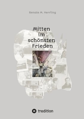 Renate M Herrling, Renate M. Herrling - Mitten im schönsten Frieden, Häftad