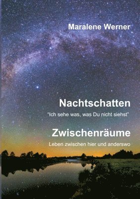 bokomslag Nachtschatten und Zwischenrume