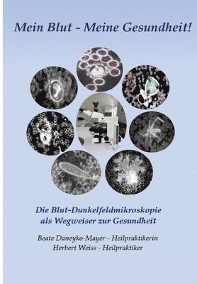 bokomslag Mein Blut - Meine Gesundheit