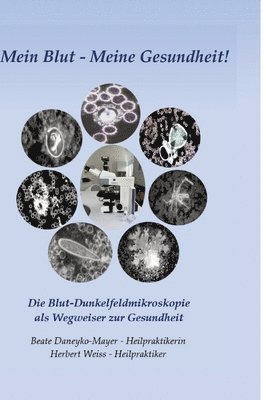 bokomslag Mein Blut - Meine Gesundheit