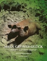 bokomslag Mein grünes Glück - Ackern auf dem Biohof