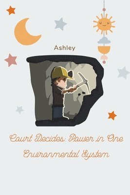 Court Decides: Power in One Environmental System