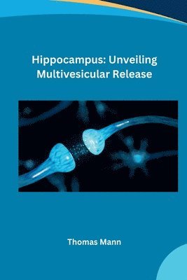 Hippocampus: Unveiling Multivesicular Release