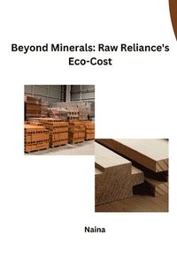 bokomslag Beyond Minerals: Raw Reliance's Eco-Cost