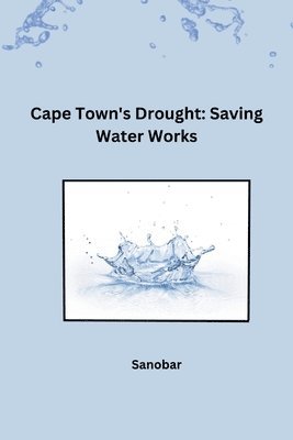 bokomslag Cape Town's Drought: Saving Water Works