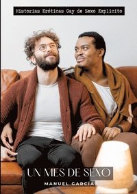 bokomslag Un Mes de Sexo: Historias Eróticas Gay de Sexo Explicito