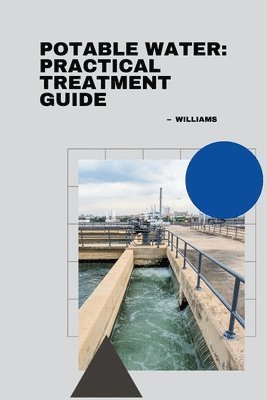 bokomslag Potable Water: Practical Treatment Guide