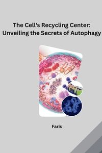 bokomslag The Cell's Recycling Center: Unveiling the Secrets of Autophagy