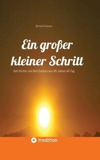 bokomslag Ein großer kleiner Schritt - Gedichte, Gedanken, Essays: Geh-Dichte und Geh-Danken aus 45 Jahren All-Tag