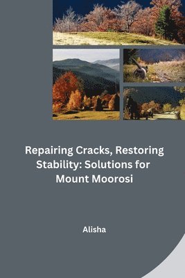 bokomslag Repairing Cracks, Restoring Stability: Solutions for Mount Moorosi