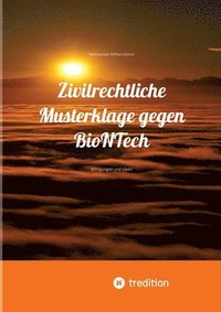 bokomslag Zivilrechtliche Musterklage gegen BioNTech: Anregungen und Ideen