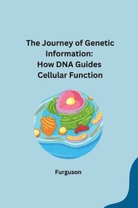 bokomslag The Journey of Genetic Information: How DNA Guides Cellular Function