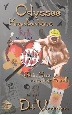 Dirk Viessmann - Odyssee im Krankenhaus: Mein Herz in meiner Hand, Häftad