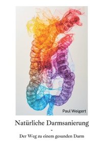 bokomslag Natürliche Darmsanierung