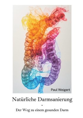 bokomslag Natürliche Darmsanierung