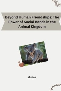bokomslag Beyond Human Friendships: The Power of Social Bonds in the Animal Kingdom