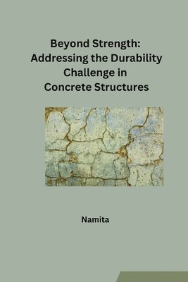 bokomslag Beyond Strength: Addressing the Durability Challenge in Concrete Structures